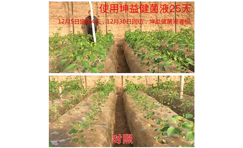 1495248720467927.jpg