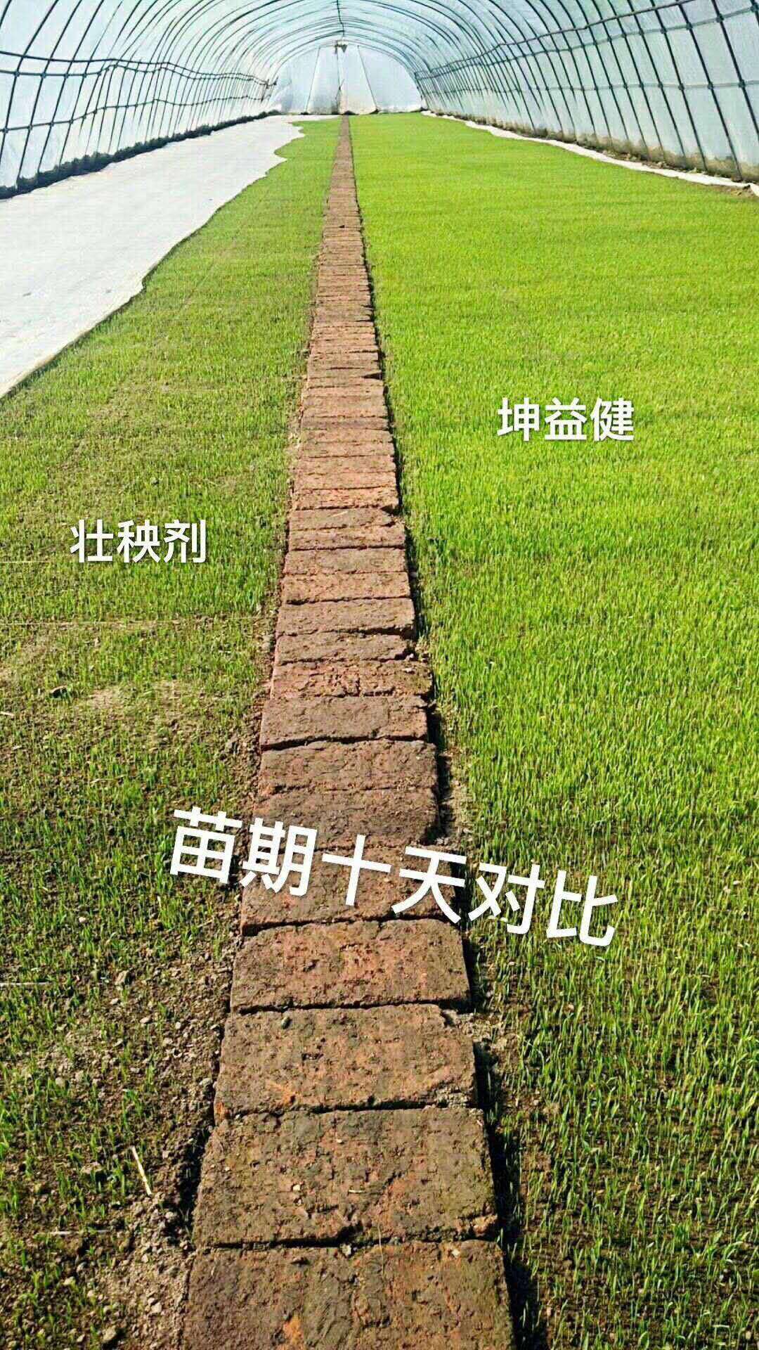 1525336800140064.jpg 微信圖片_20180503160313.jpg