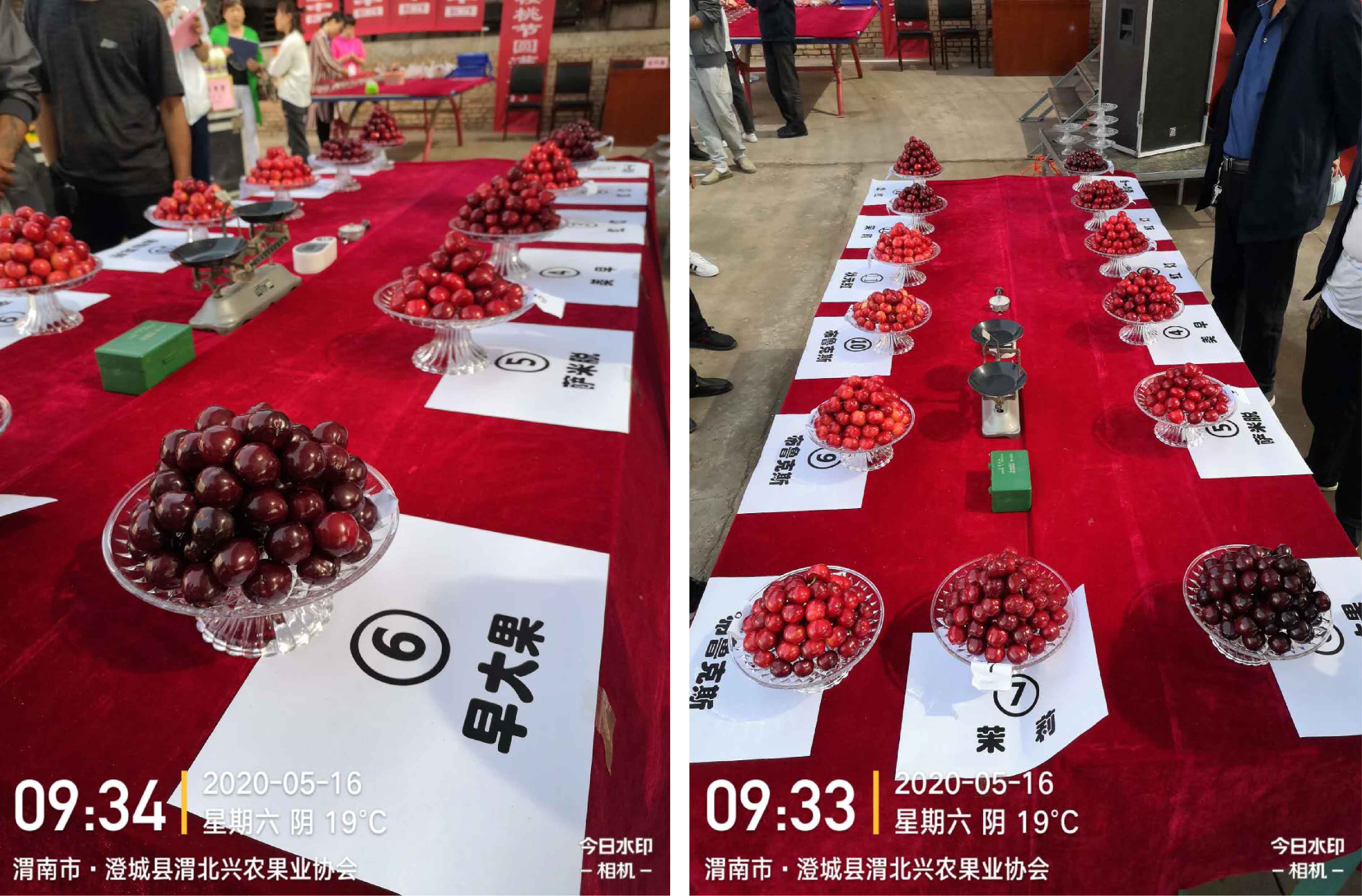 未標題-1-01.jpg