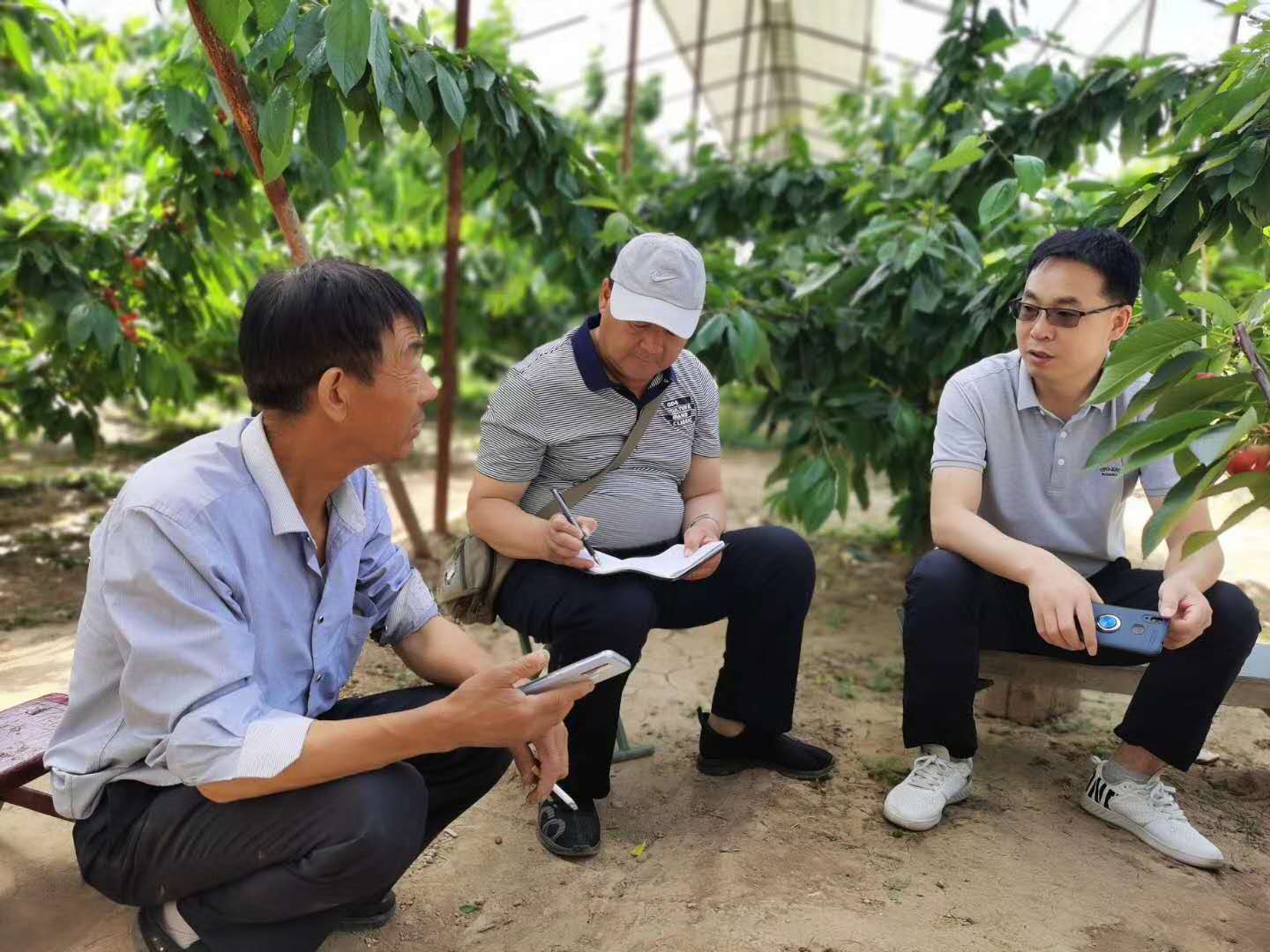 路老師和電視臺現(xiàn)場指導農戶照片.jpg